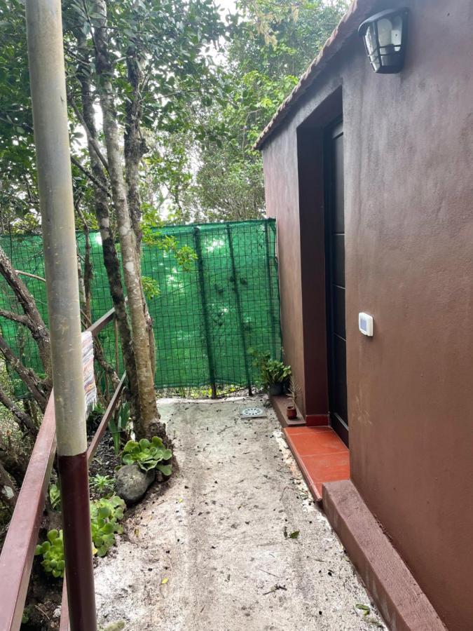 Casa Camino Los Chorros Vallehermoso Zewnętrze zdjęcie